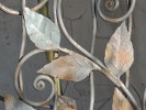 Details from gate at 3645 North Stone, Tucson