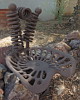 chair at Springerville pocket park, Tucson